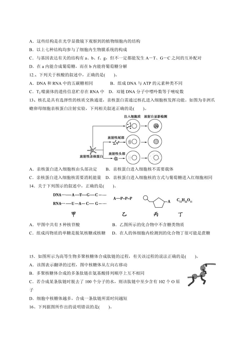 2019-2020年高三上学期第三次月考生物含答案.doc_第3页