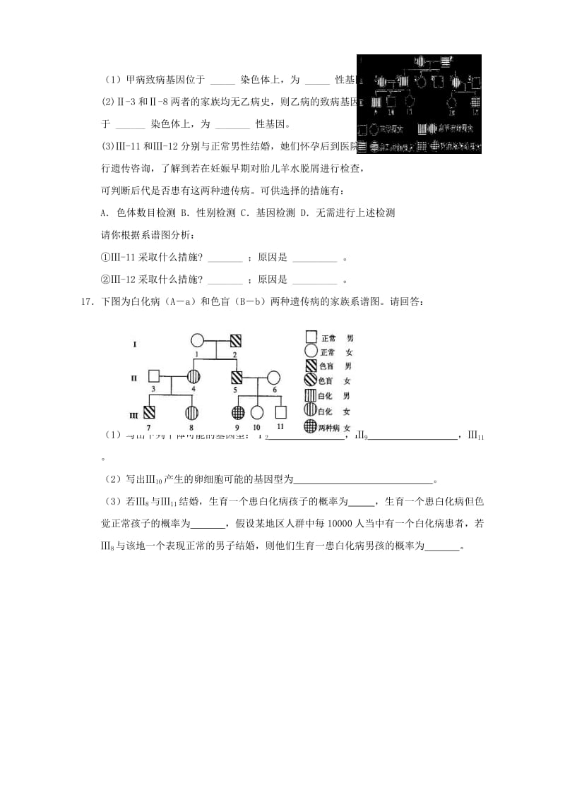 2019-2020年高一生物《遗传与进化》知识点习题演练（6）.doc_第3页