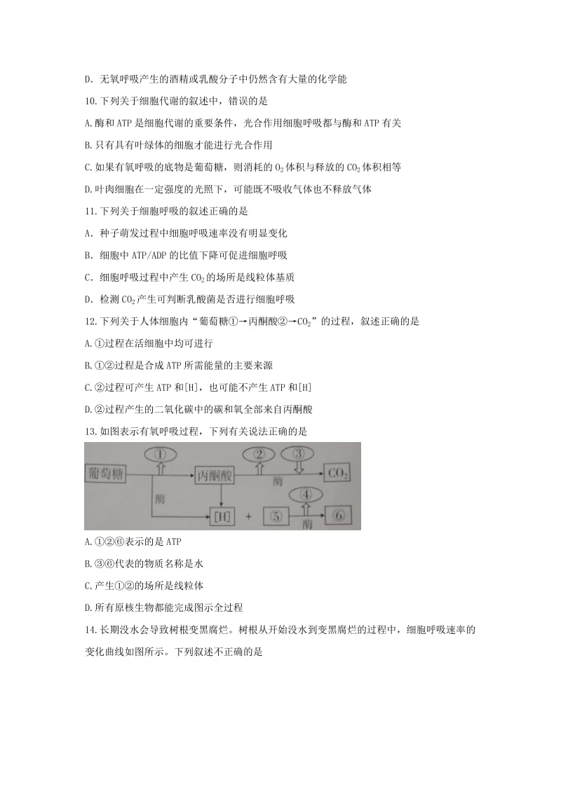 2019-2020年高一（实验部）上学期12月月考生物试题含答案.doc_第3页