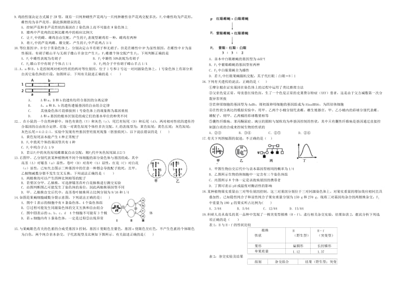 2019-2020年高三生物二轮复习 作业卷（十四）基因分离和自由组合2（含解析）.doc_第2页