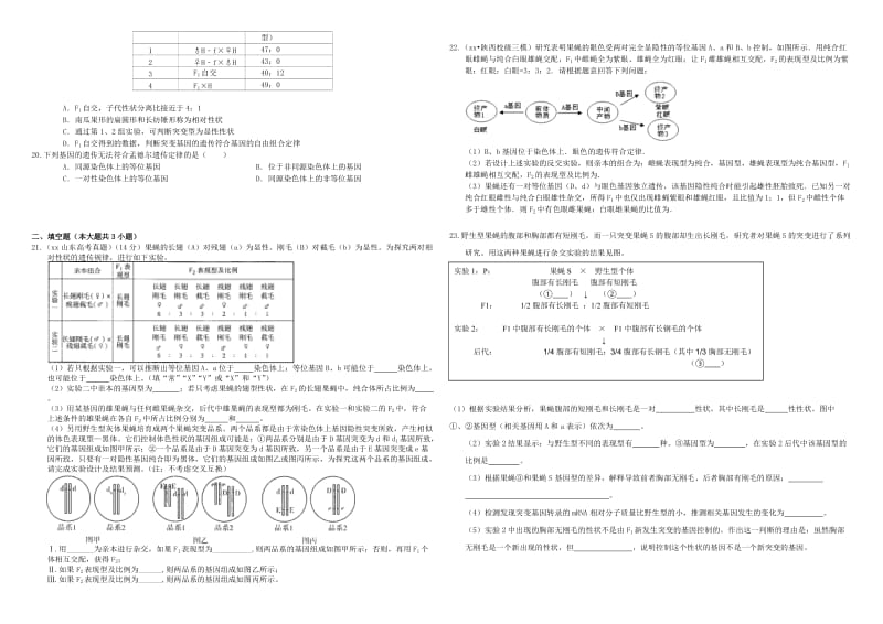 2019-2020年高三生物二轮复习 作业卷（十四）基因分离和自由组合2（含解析）.doc_第3页