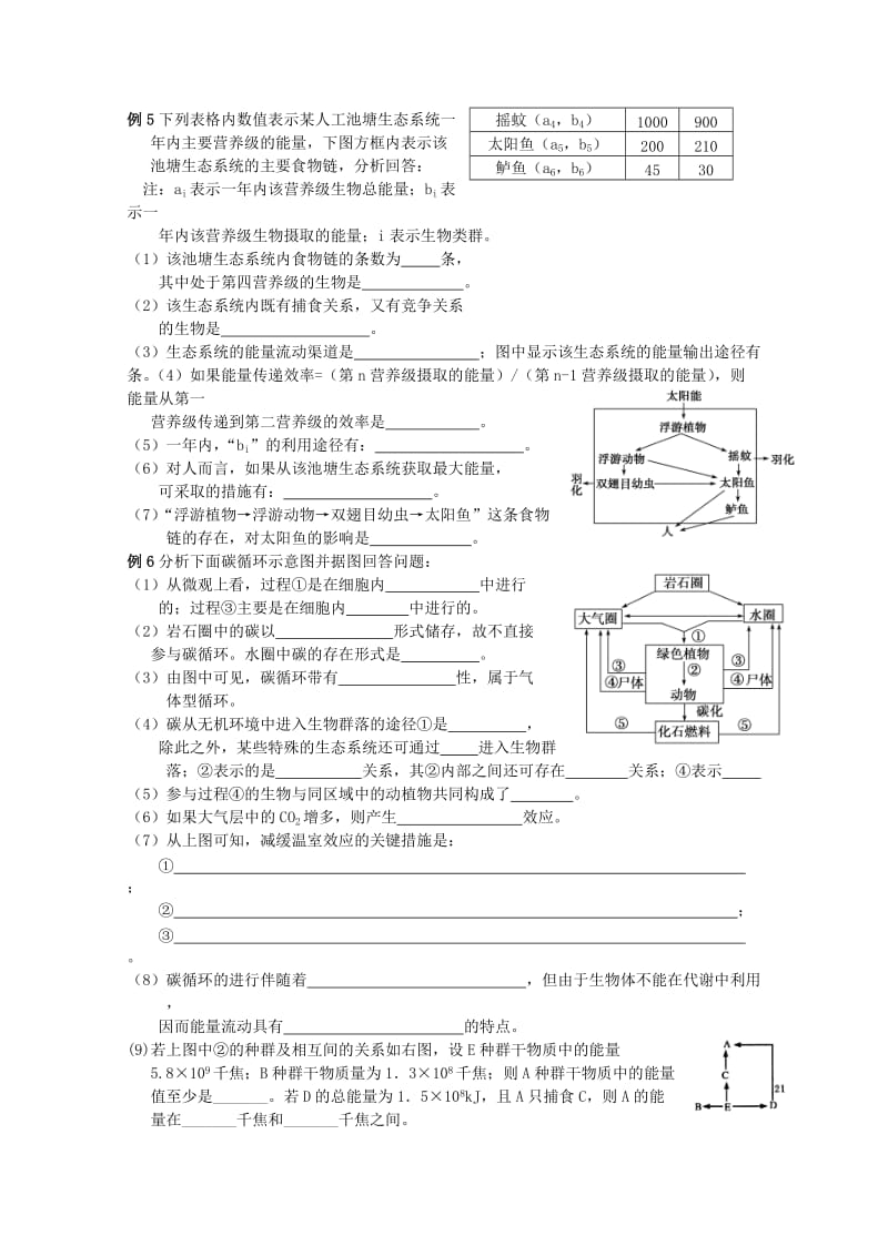 2019-2020年高考生物专题复习 生物与环境专题教案.doc_第2页