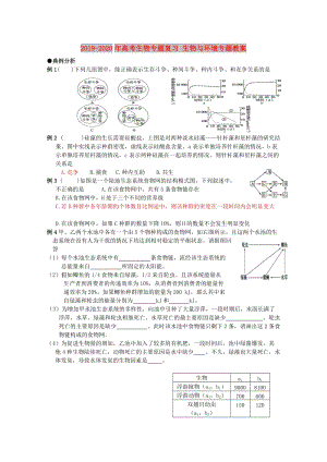 2019-2020年高考生物專題復(fù)習(xí) 生物與環(huán)境專題教案.doc