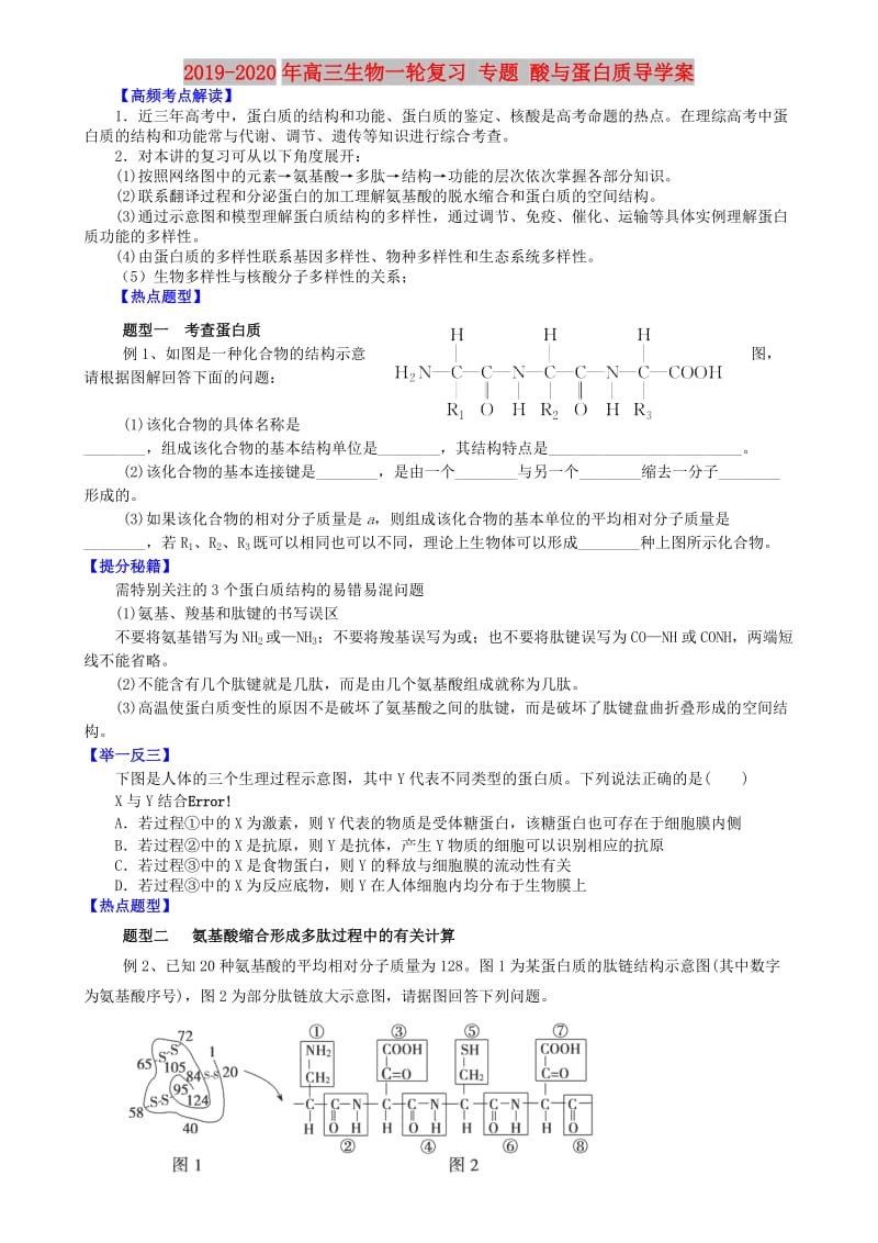 2019-2020年高三生物一轮复习 专题 酸与蛋白质导学案.doc_第1页