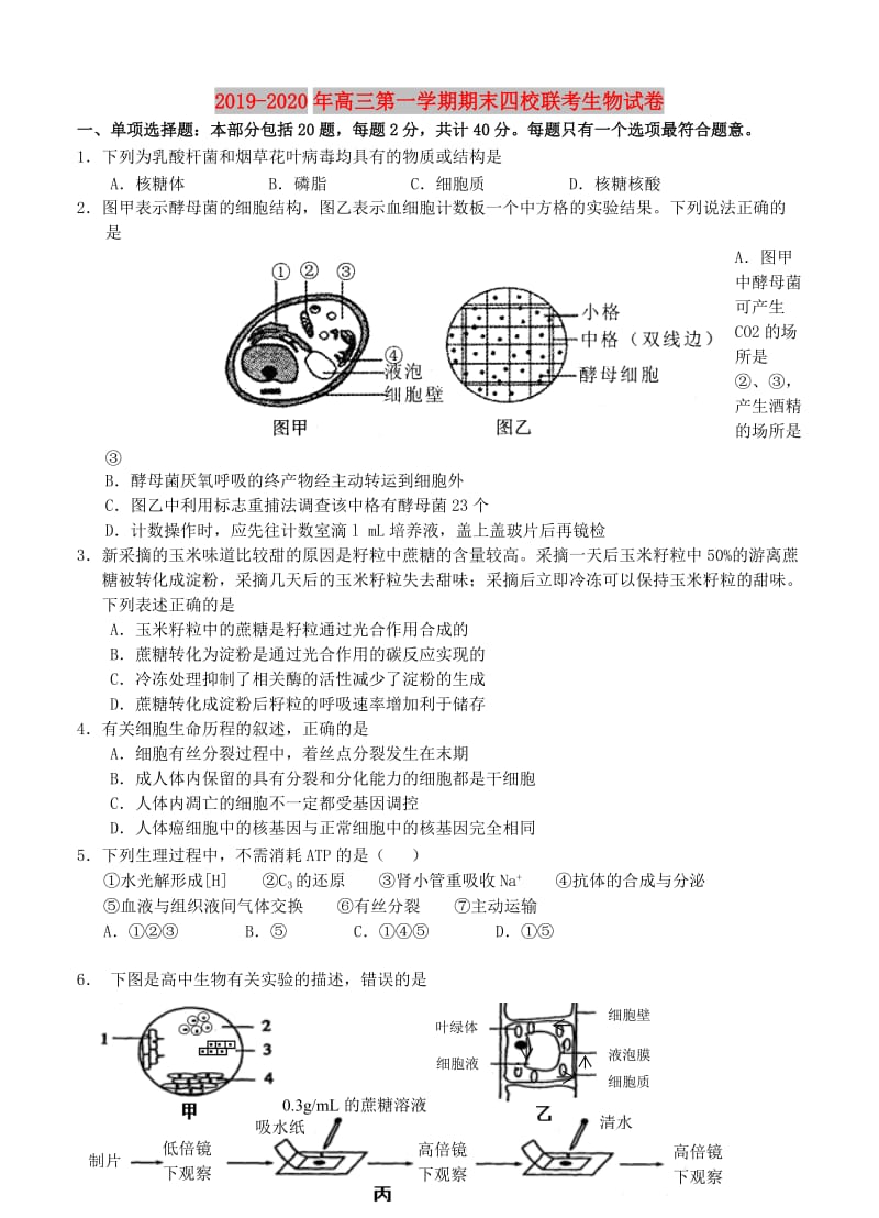 2019-2020年高三第一学期期末四校联考生物试卷.doc_第1页