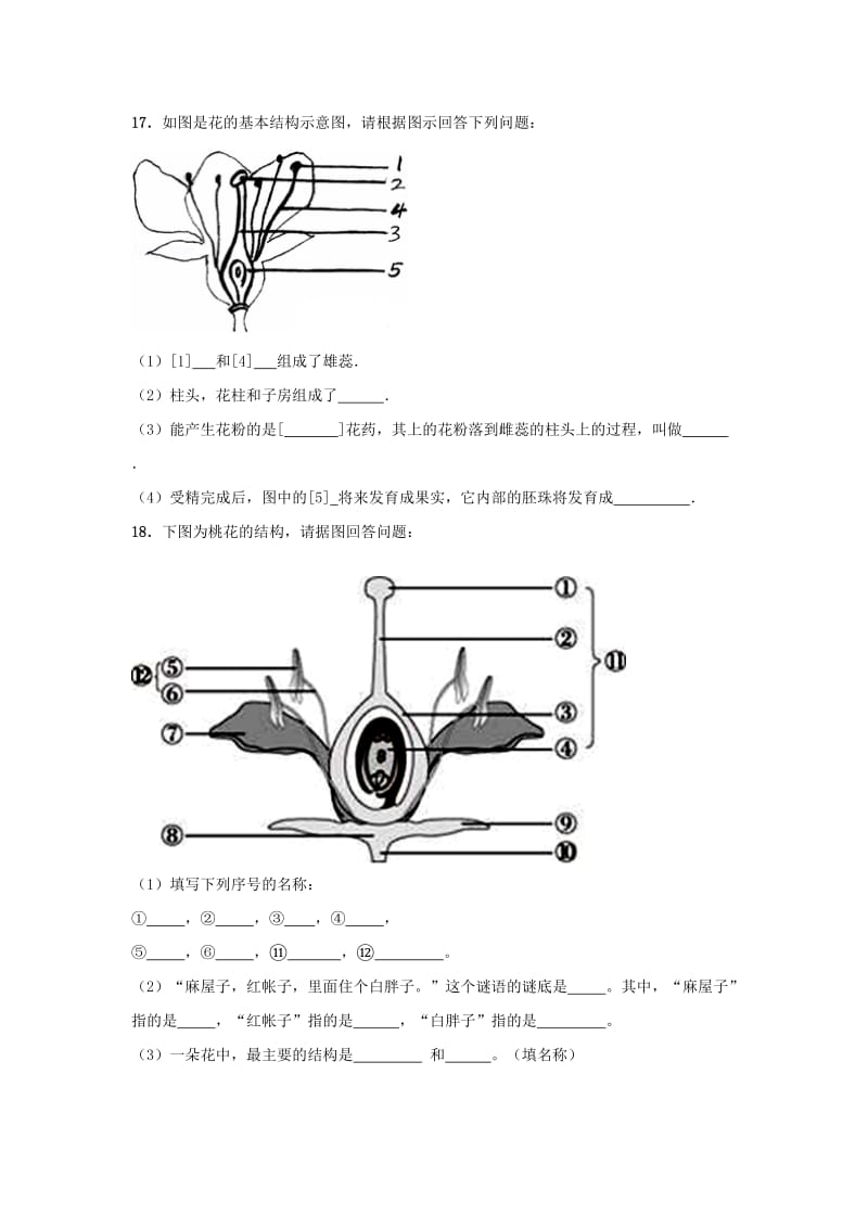 2019-2020年八年级生物上册 4.1.1 花的结构和类型试题 济南版.doc_第3页