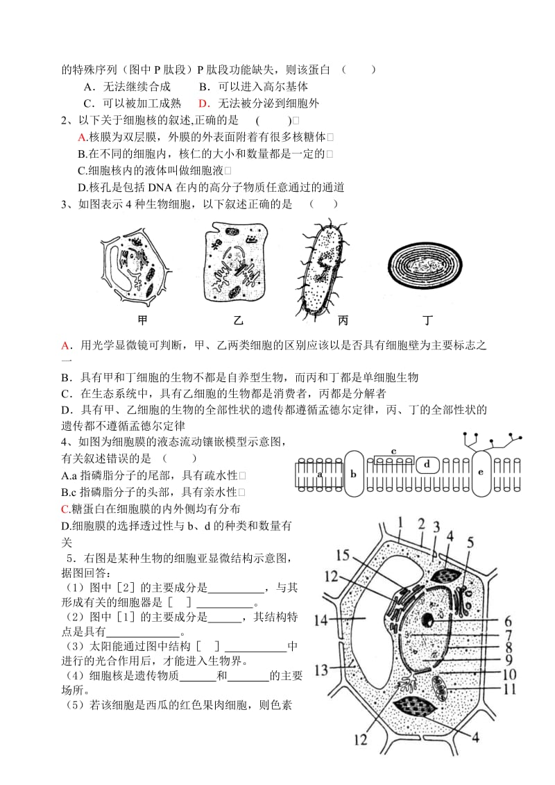 2019-2020年高考生物 总第23课时 专题二 生命的结构基础 ( 1) 教案 人教版.doc_第3页