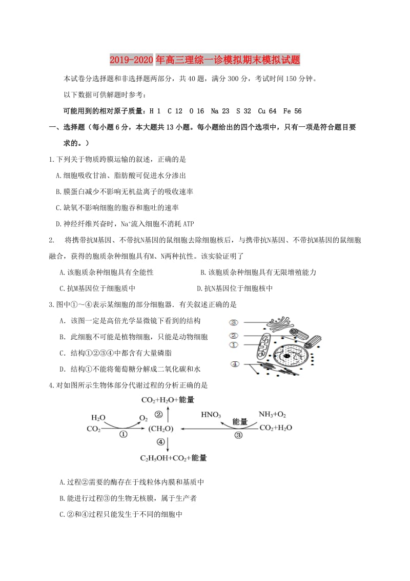 2019-2020年高三理综一诊模拟期末模拟试题.doc_第1页