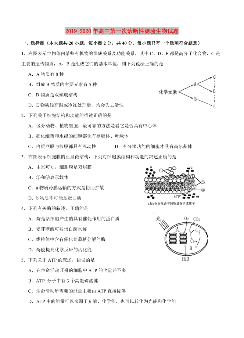 2019-2020年高三第一次诊断性测验生物试题.doc_第1页