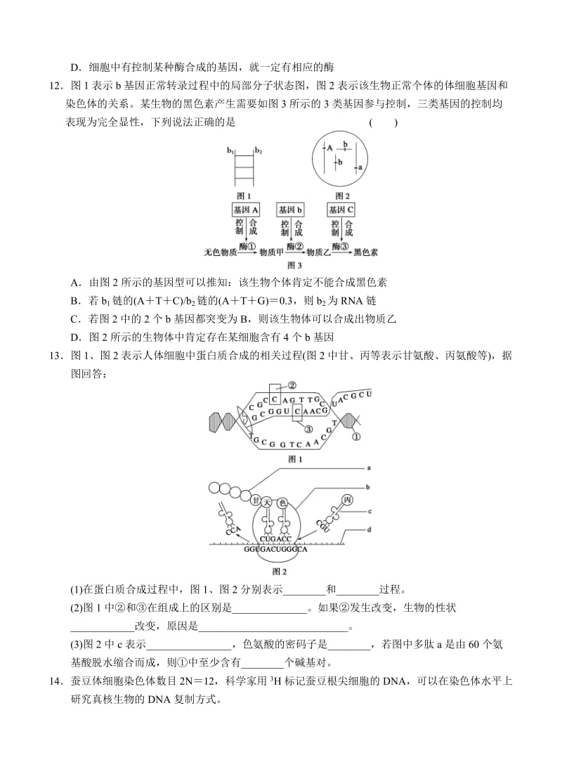 2019-2020年高三生物二轮专题复习卷 专题四　遗传、变异和进化 第1讲　遗传的分子基础.doc_第3页