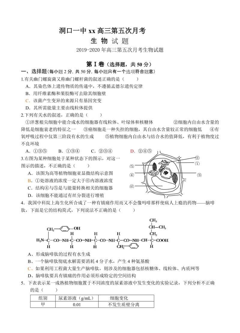 2019-2020年高三第五次月考生物试题.doc_第1页