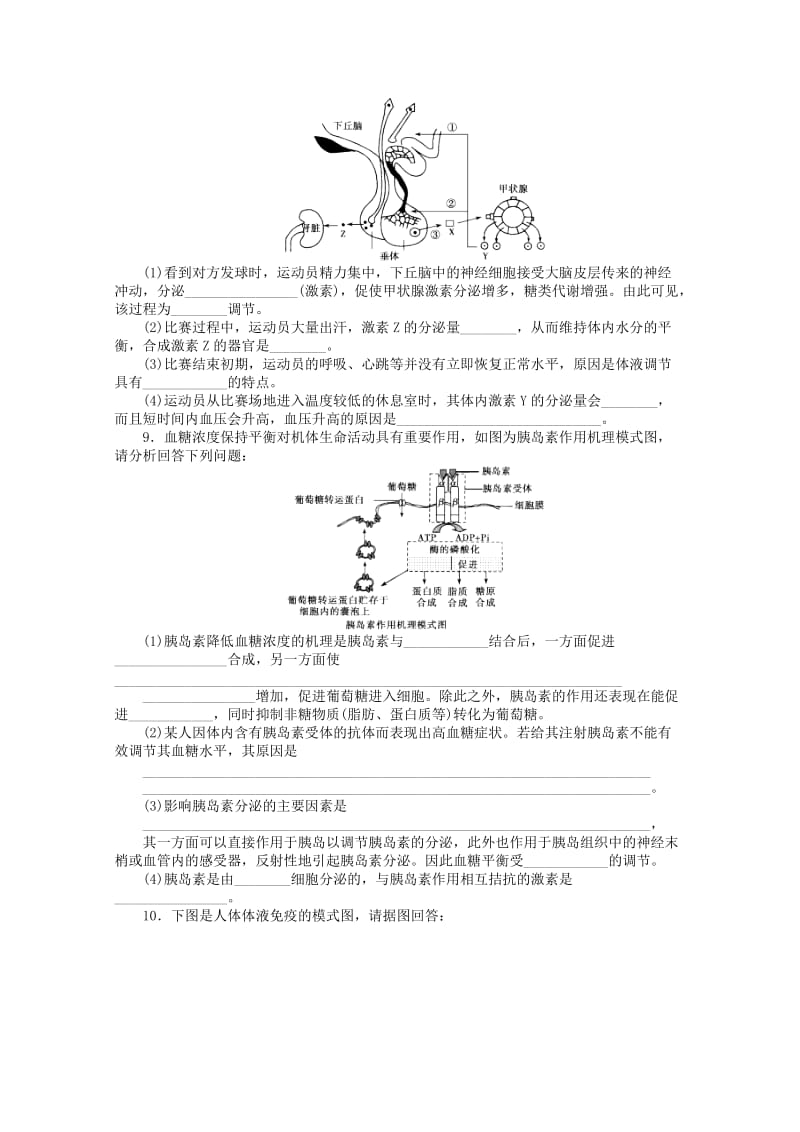 2019-2020年高三生物一轮复习 寒假作业11 专题九（1）人体生命活动调节（体液、激素、神经、免疫调节）.doc_第3页