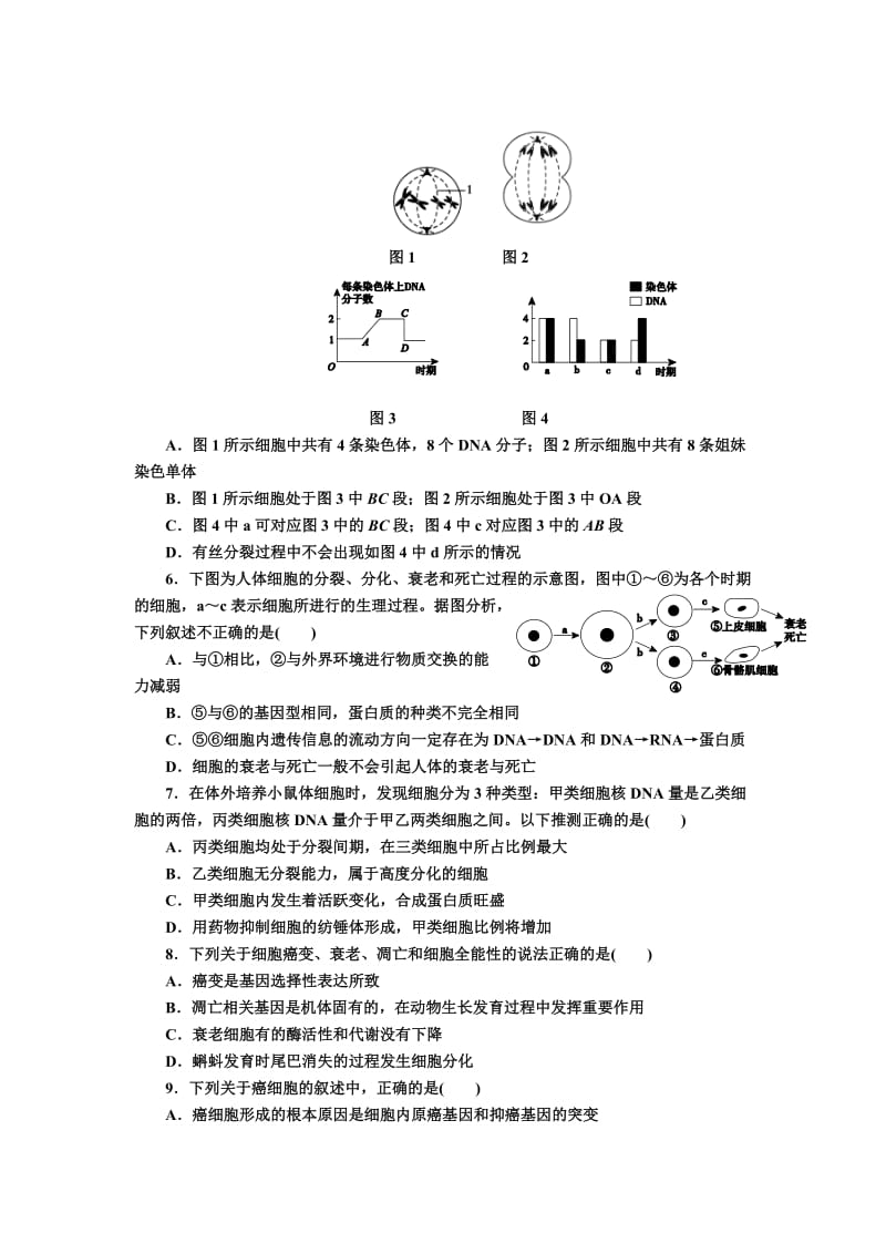 2019-2020年高三上学期第二次月考生物试题B卷 含答案.doc_第2页