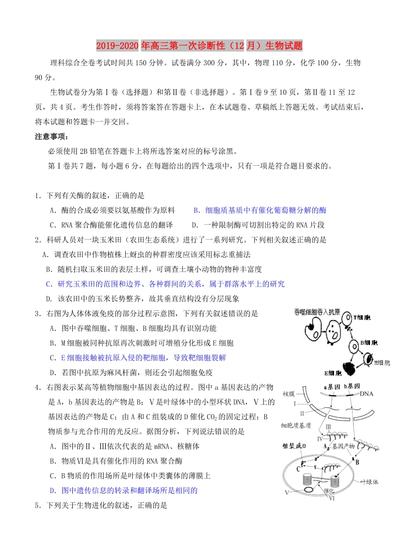 2019-2020年高三第一次诊断性（12月）生物试题.doc_第1页