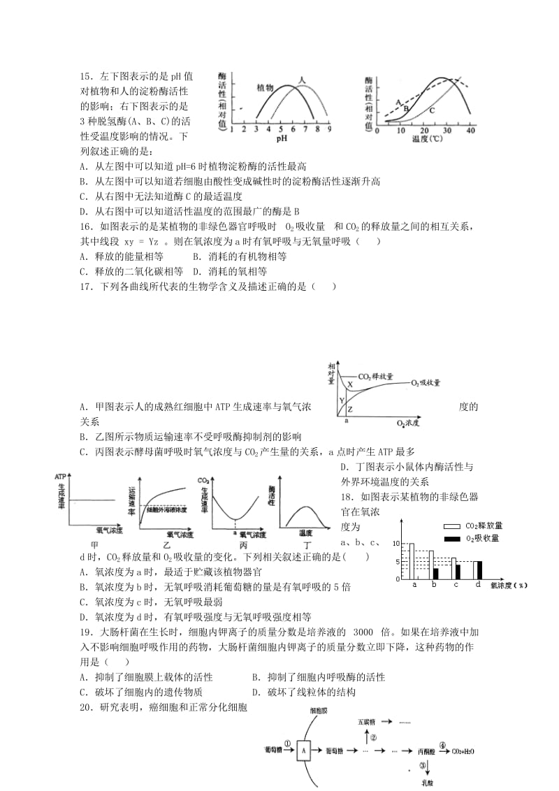 2019-2020年高一上学期期末考试生物模拟试题（一）含答案.doc_第3页