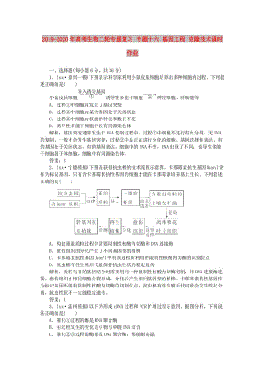 2019-2020年高考生物二輪專題復習 專題十六 基因工程 克隆技術課時作業(yè).doc