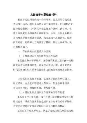 支部班子對(duì)照檢查材料