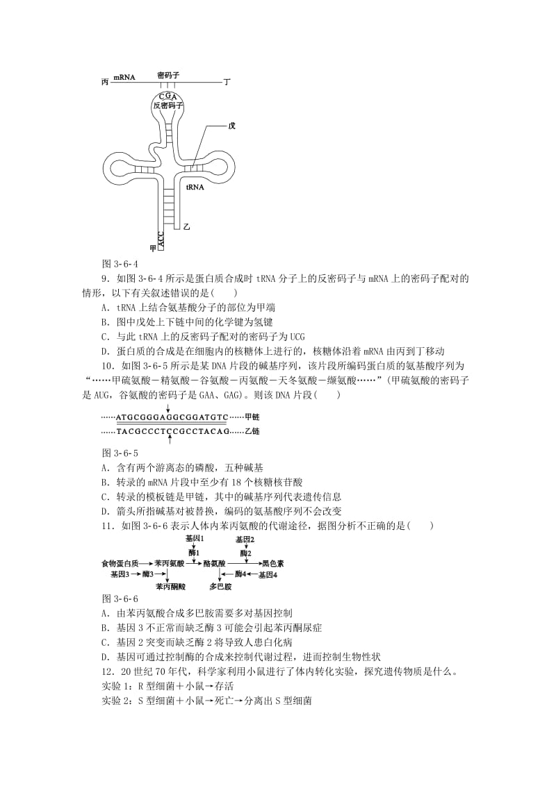 2019-2020年高考生物二轮复习 专题六 遗传的分子基础限时集训.doc_第3页