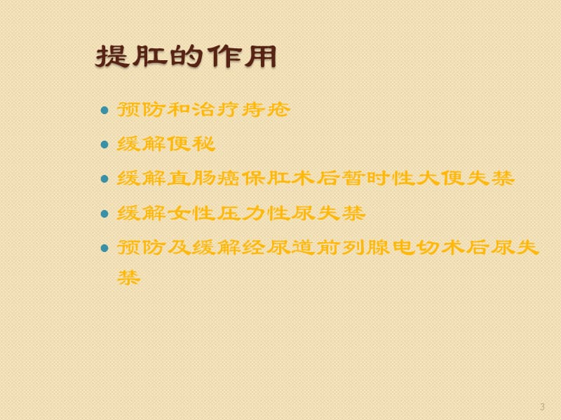 提肛运动ppt课件_第3页