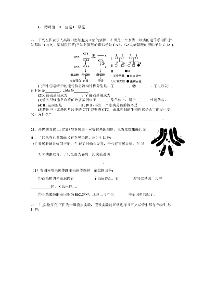 2019-2020年高一下学期第二次（6月）月考理综生物试题 含答案.doc_第3页