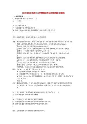 2019-2020年高一上學(xué)期期末考試生物試題 含解析.doc