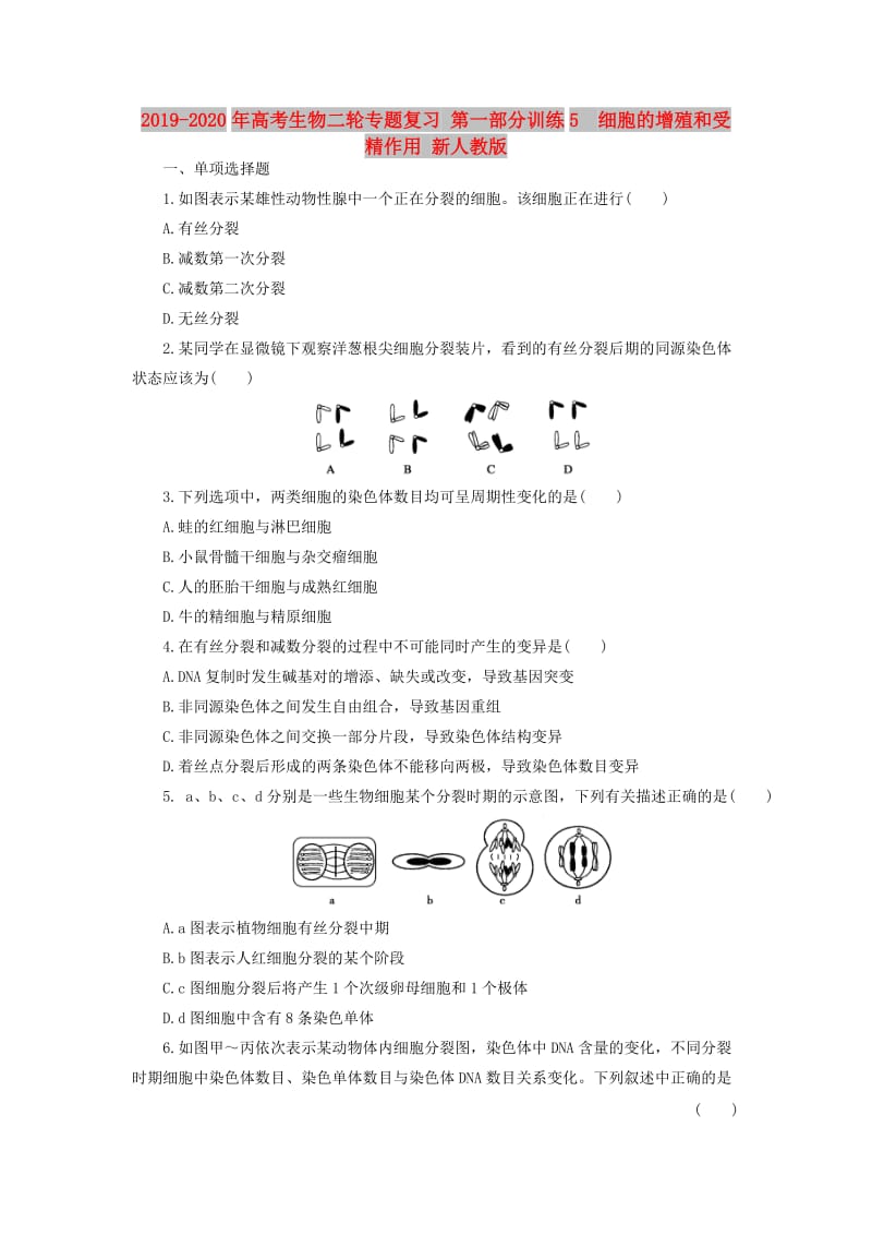 2019-2020年高考生物二轮专题复习 第一部分训练5　细胞的增殖和受精作用 新人教版.doc_第1页