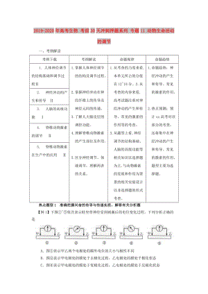 2019-2020年高考生物 考前30天沖刺押題系列 專(zhuān)題11 動(dòng)物生命活動(dòng)的調(diào)節(jié).doc