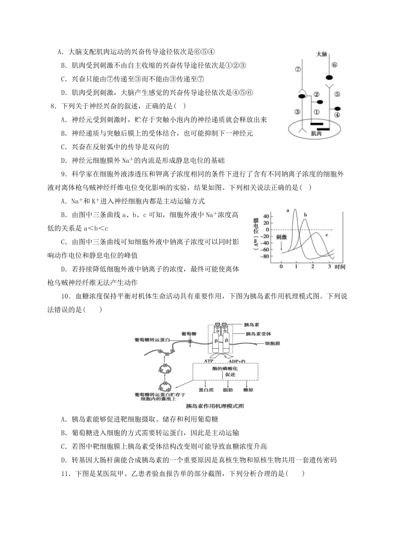 2019-2020年高二生物上学期第四次月考试题(VI).doc_第2页