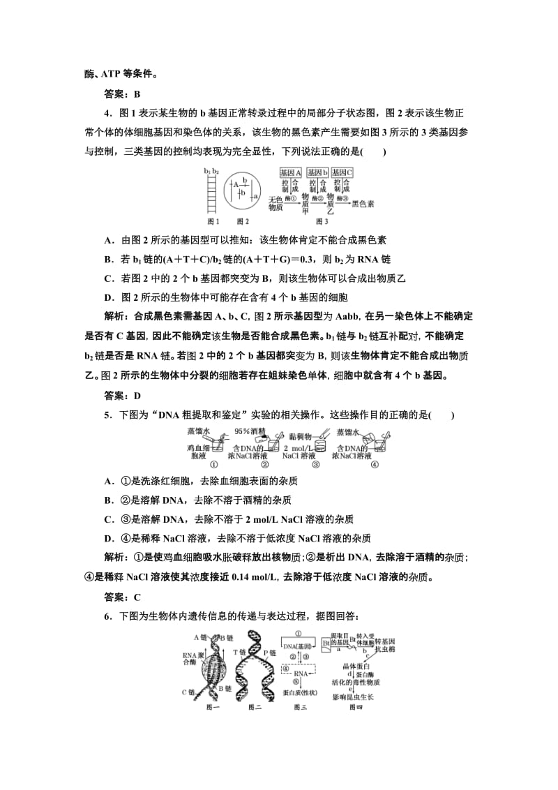 2019-2020年高考生物 第二讲遗传的物质基础专题检测.doc_第2页