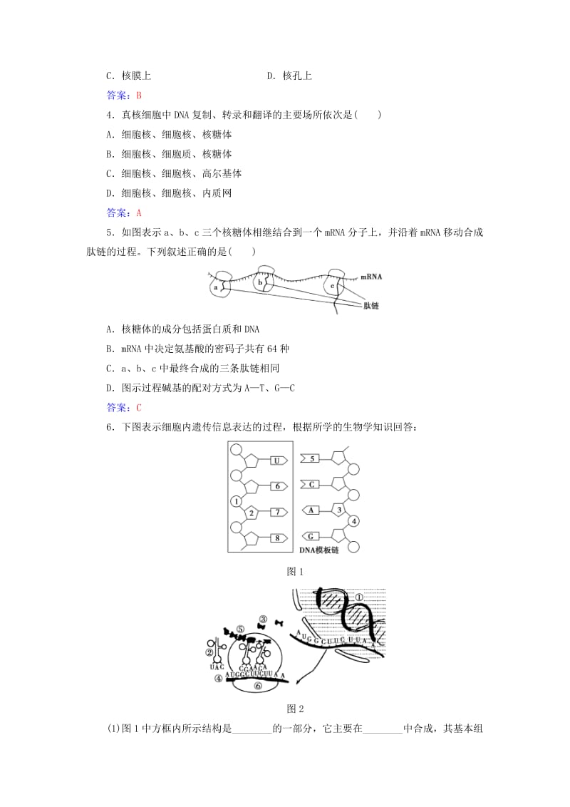 2019-2020年高中生物第4章基因的表达第1节基因指导蛋白质的合成检测试题新人教版必修.doc_第3页