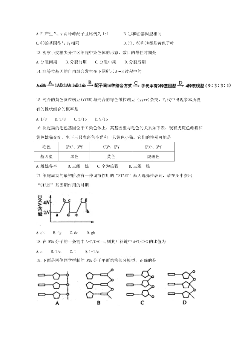 2019-2020年高二上学期期末考试生物试题 含答案(VIII).doc_第3页