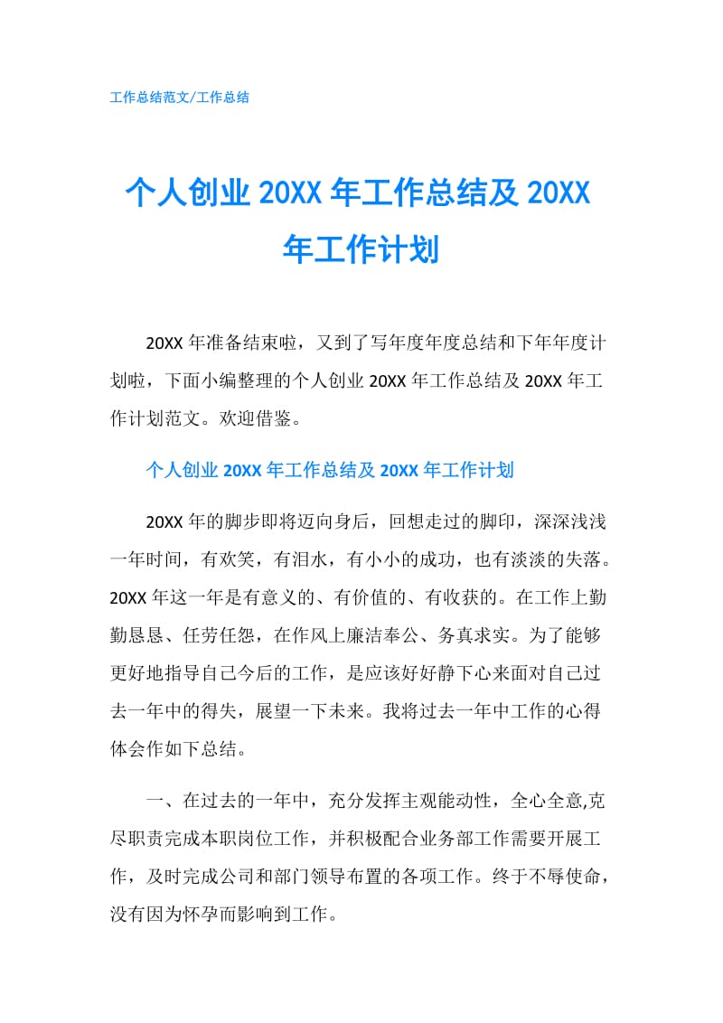 个人创业20XX年工作总结及20XX年工作计划.doc_第1页