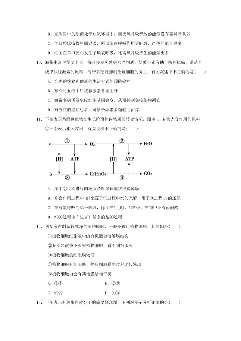 2019-2020年高中生物 学业水平测试模拟试题（17）新人教版必修1.doc_第3页