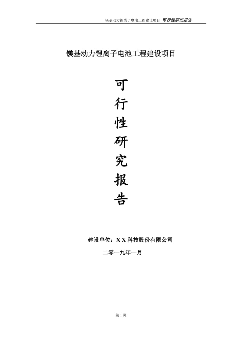 镁基动力锂离子电池项目可行性研究报告（建议书模板）_第1页