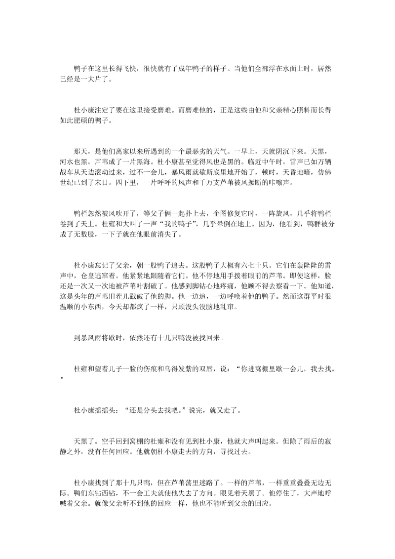 《孤独之旅》练习题及答案.doc_第3页