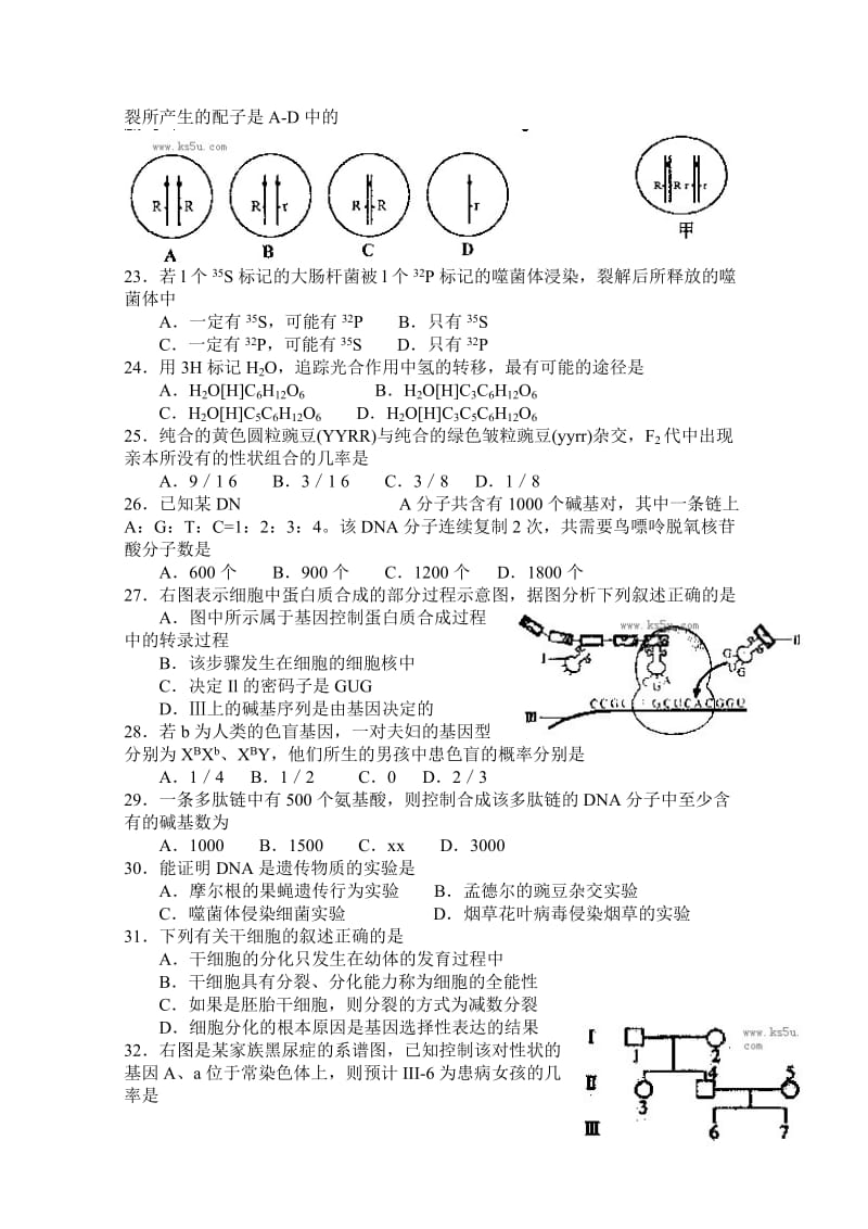 2019-2020年高二上学期期末考试 生物 含答案(II).doc_第3页