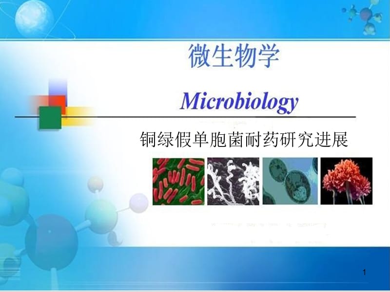 铜绿假单胞菌的耐药ppt课件_第1页