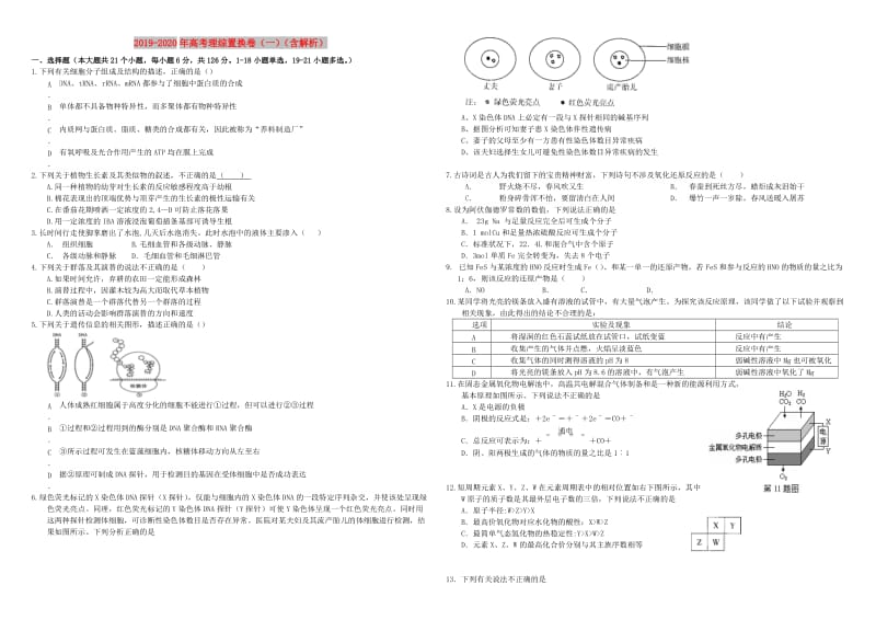 2019-2020年高考理综置换卷（一）（含解析）.doc_第1页