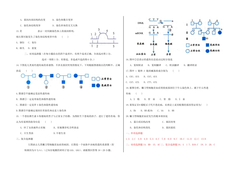 2019-2020年高考生物 学考例题解析及系列练习 第5章 基因突变及其他变异 新人教版必修2.doc_第3页