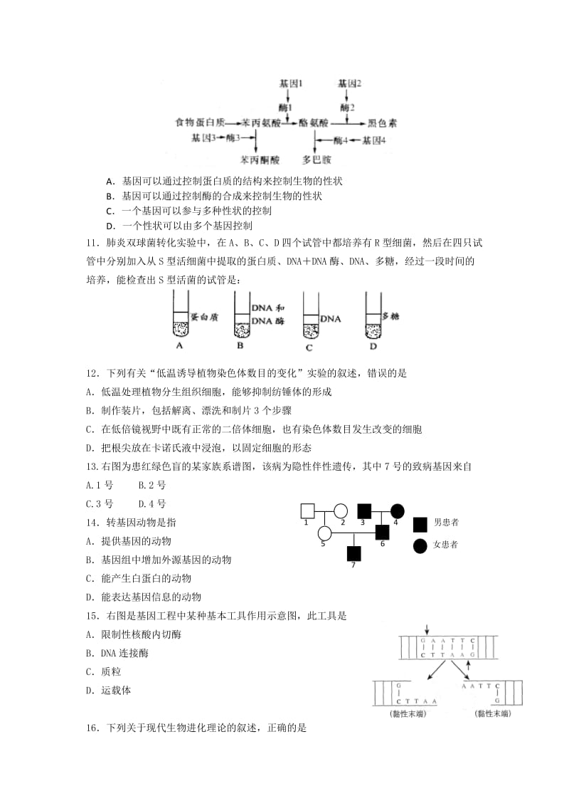 2019-2020年高一下学期期末调研考试生物试题 含答案.doc_第2页