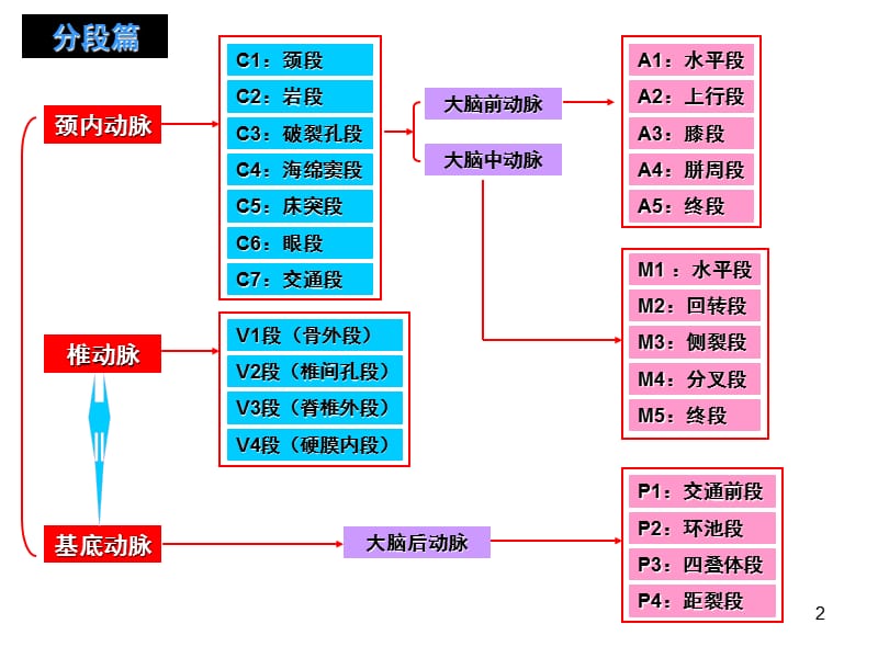 头颅血管脑动脉解剖与影像ppt课件_第2页