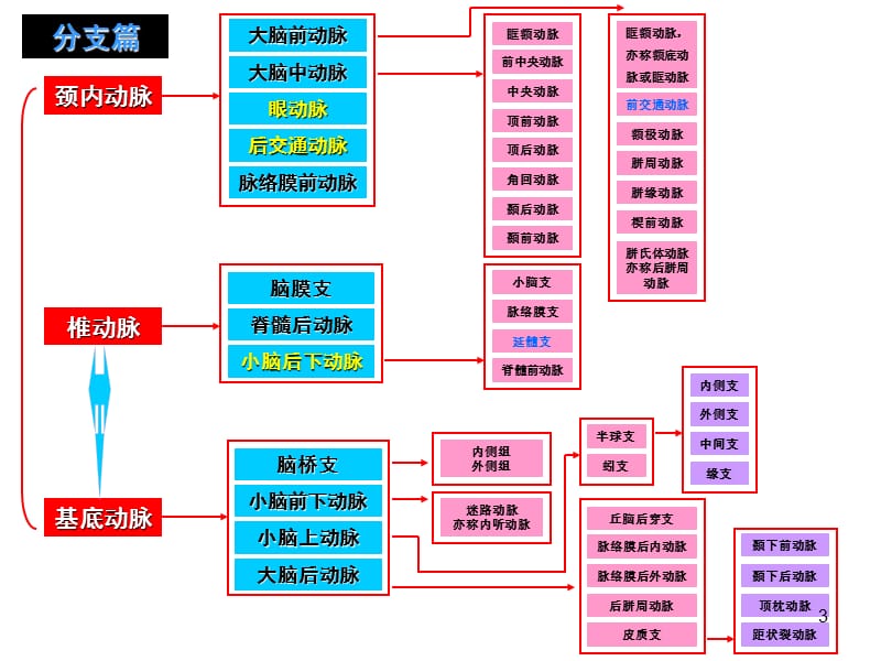 头颅血管脑动脉解剖与影像ppt课件_第3页