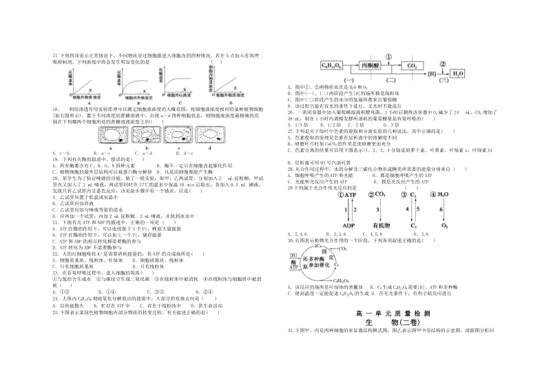 2019-2020年高一12月月考生物含答案.doc_第2页