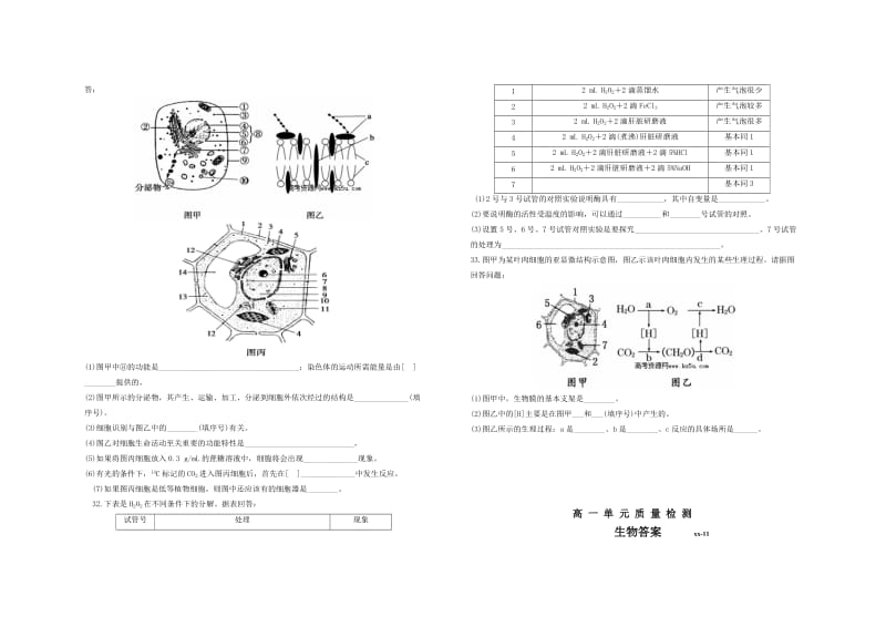 2019-2020年高一12月月考生物含答案.doc_第3页