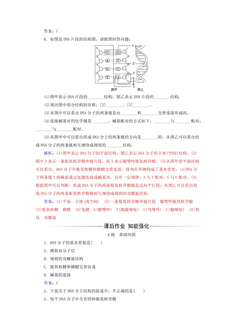 2019-2020年高中生物第3章基因的本质第2节DNA分子的结构检测试题新人教版必修.doc_第2页