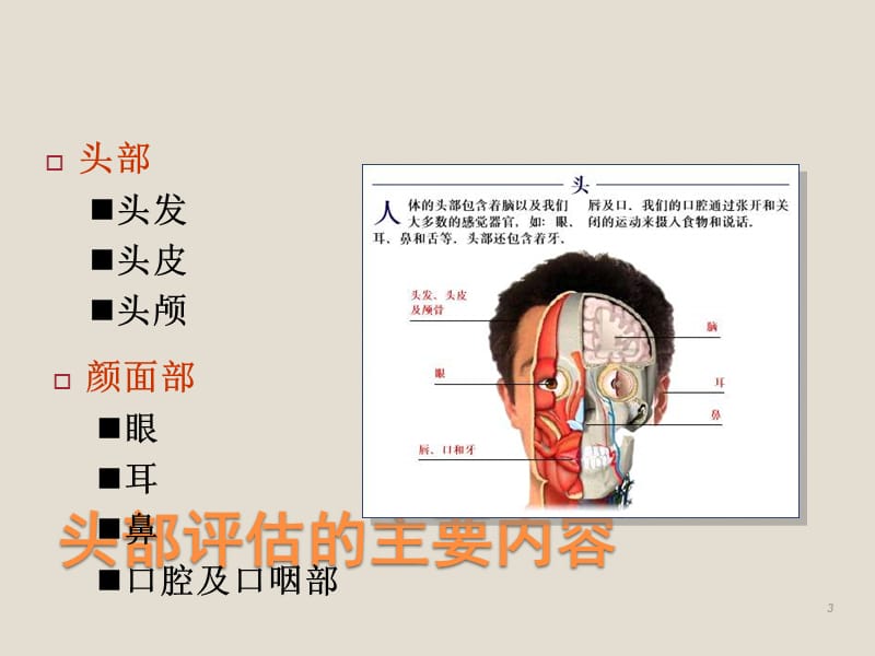 头部检查第四节颈部检查ppt课件_第3页