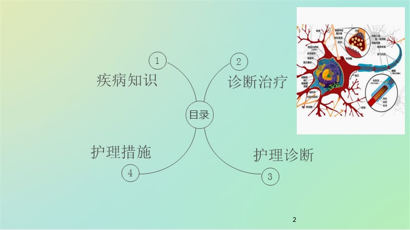 脱髓鞘性多发性神经病ppt课件_第2页