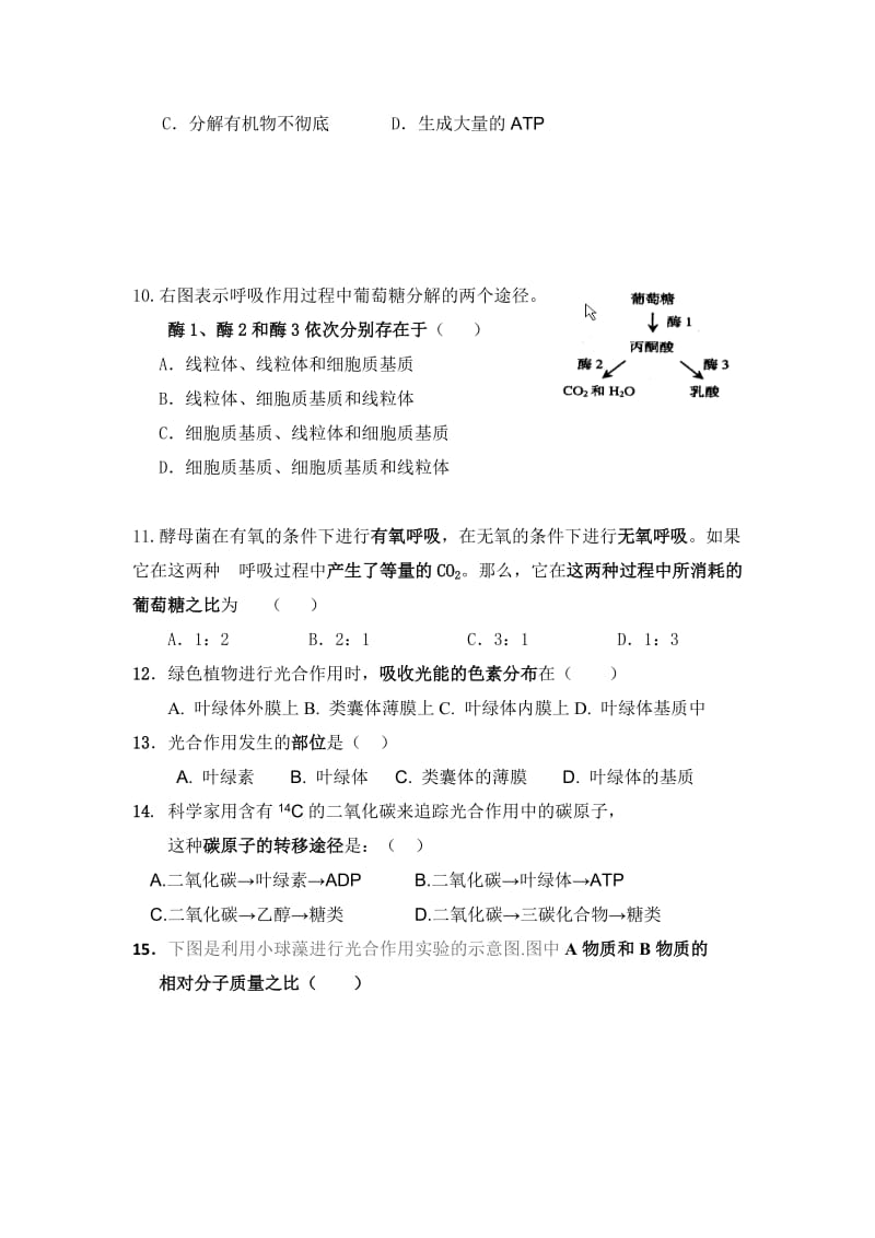 2019-2020年高一上学期期末考试（普通班）生物试题 含答案.doc_第2页