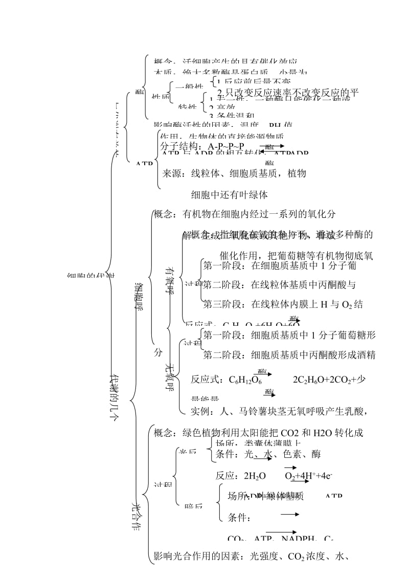 2019-2020年高考生物知识点专题复习教案3.doc_第3页