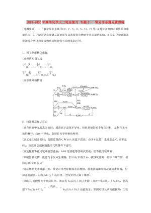 2019-2020年高考化學(xué)大二輪總復(fù)習(xí) 專題十一 常見非金屬元素講練.doc